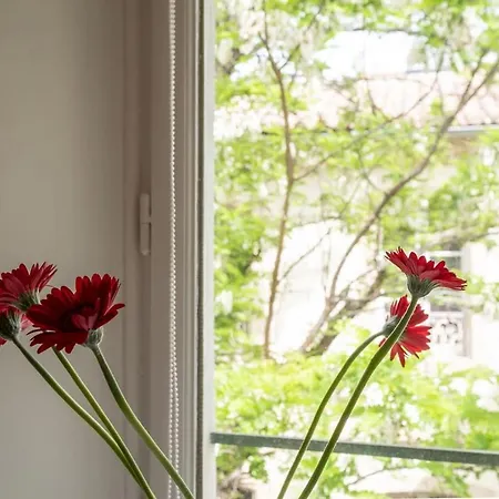 Sunny, Breezy Gem In The Centre Of The Old Apartment